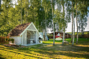 Domki w lasku Wiele